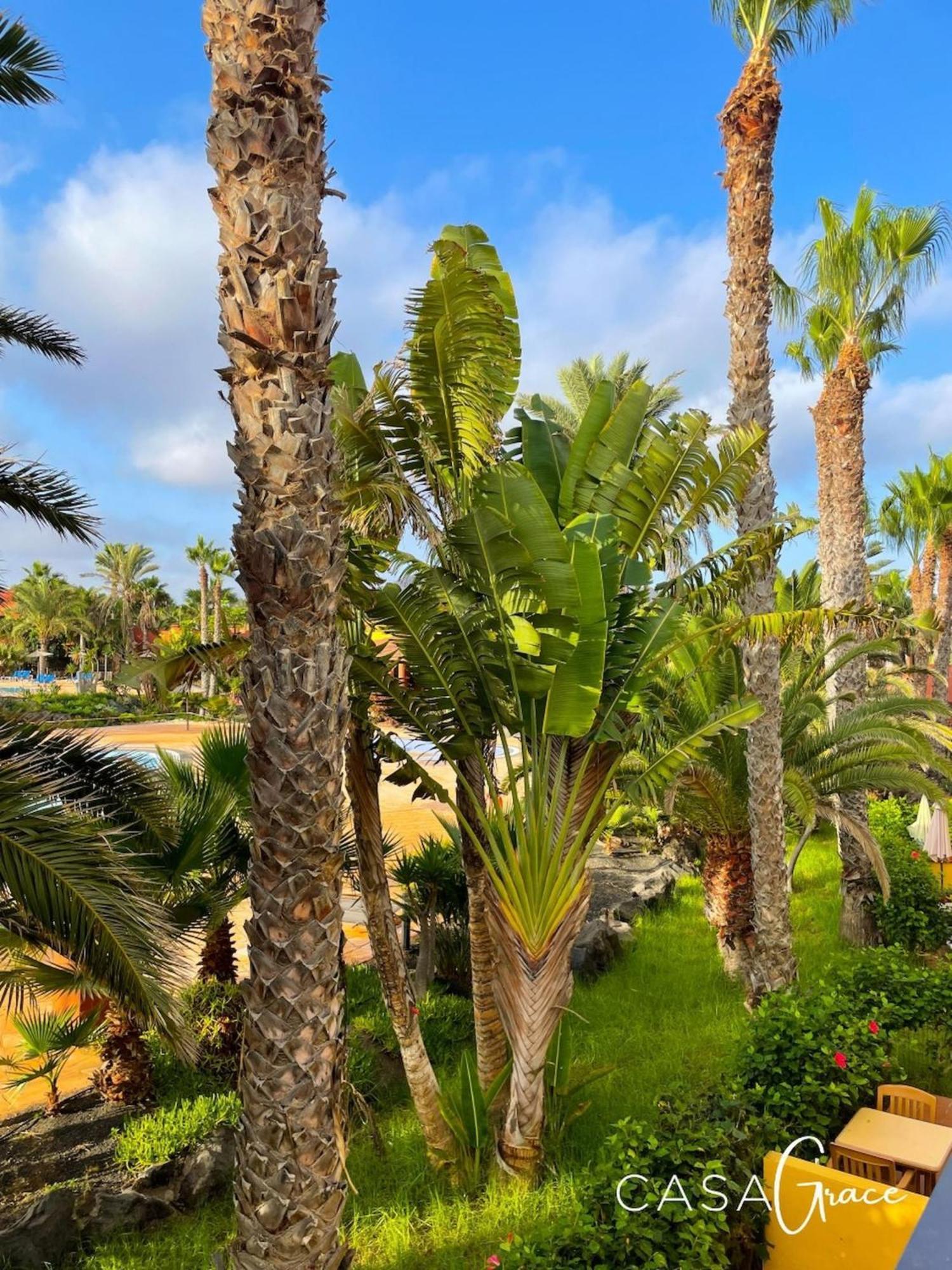 קורלחו Tamarindo 1 Casa Grace Wifi Free Pool View By Rentalfue מראה חיצוני תמונה