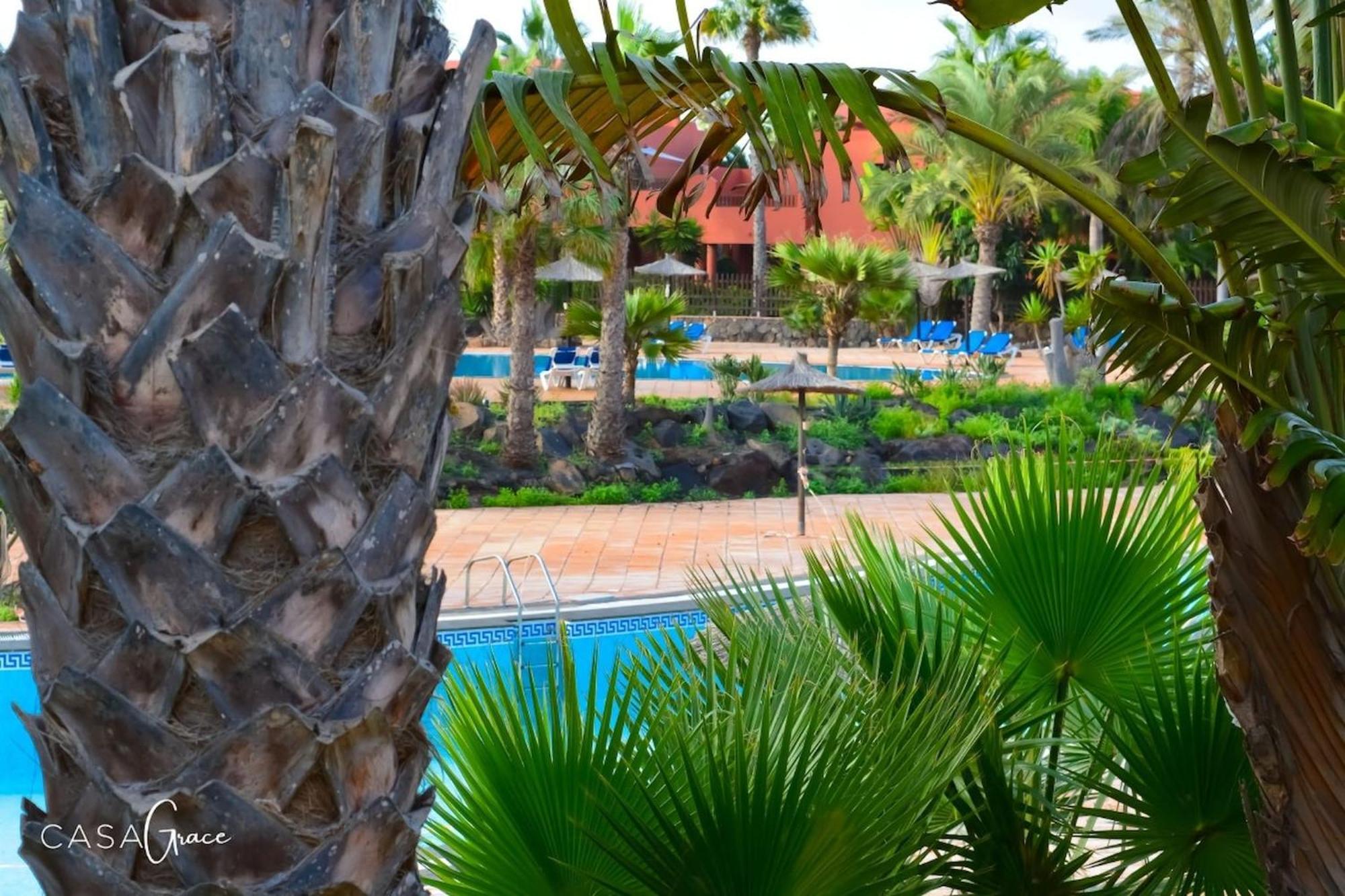 קורלחו Tamarindo 1 Casa Grace Wifi Free Pool View By Rentalfue מראה חיצוני תמונה